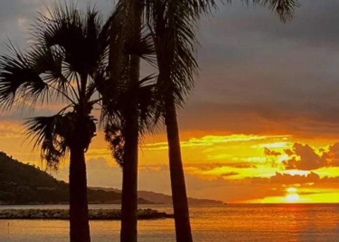 Coralbay Charmante Oasis A 100m De La Avec Parking Gratuit Et Clima Apartmán Menton